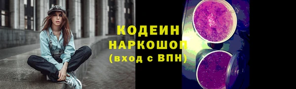 a pvp Пересвет