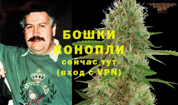 a pvp Пересвет