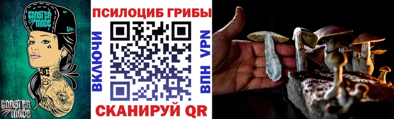 закладки  MEGA ССЫЛКА  Галлюциногенные грибы мицелий  Рыльск 